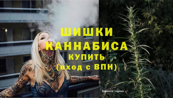 ПСИЛОЦИБИНОВЫЕ ГРИБЫ Аркадак