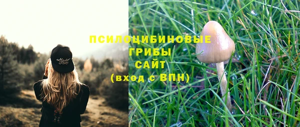 PSILOCYBIN Арсеньев